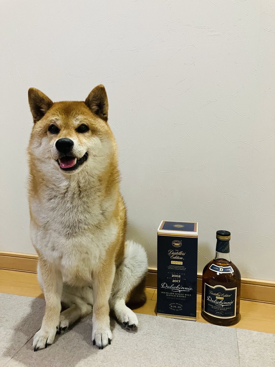 haru_k24's tweet photo. 最終日🔚またまたみんなから素敵なプレゼント🎁🥃縁は自ら手繰り寄せるもの🤝そして自分の思いをきちんと言葉で伝えること。大切なことを学びました🌟みんな本当にありがとう。やってきたことは間違ってなかった😂
#みんな大好きです　
#ウイスキー　
#最後のあいさつ 
#柴犬　
#転勤 https://t.co/JmviNeQM2r