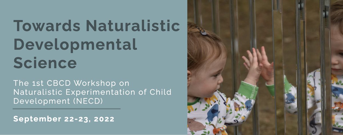 Paola Pinti tweet media