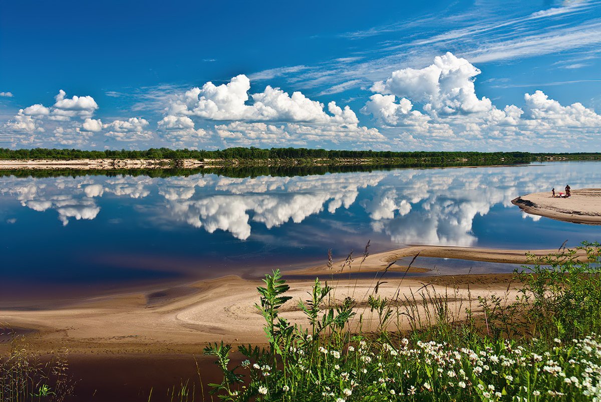 Photographer tweet media