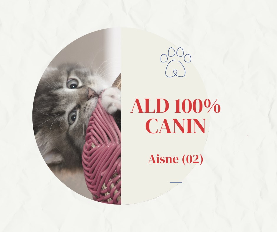 RhAxio's tweet image. 🌵 Poste disponible en Picardie (02) 🐾 
Une belle clinique mixte recherche un vétérinaire 100% canin ! 🐼 
Pour Postuler : bit.ly/3fqXD7V