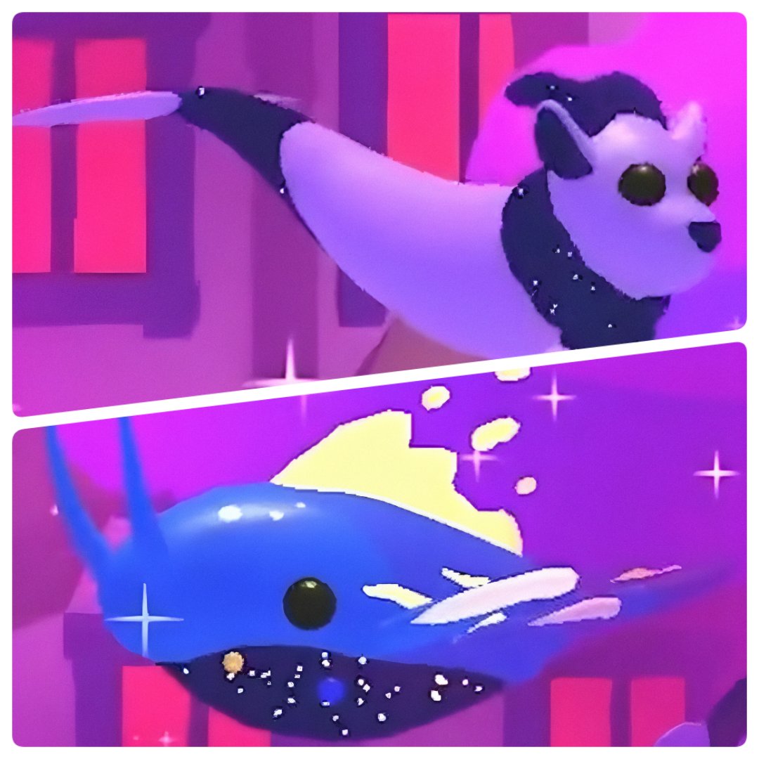 🤍 #adoptmegiveaway🤍 (6 winners overall)

3 winners will each receive 1 Capricorn pet on the first wave✨️
And another 3 diff winners will each receive 1 Space Whale pet✨️ (randomly picked pet)
🤍Just comment below which pet from this new update do you like best🤍 Ends today