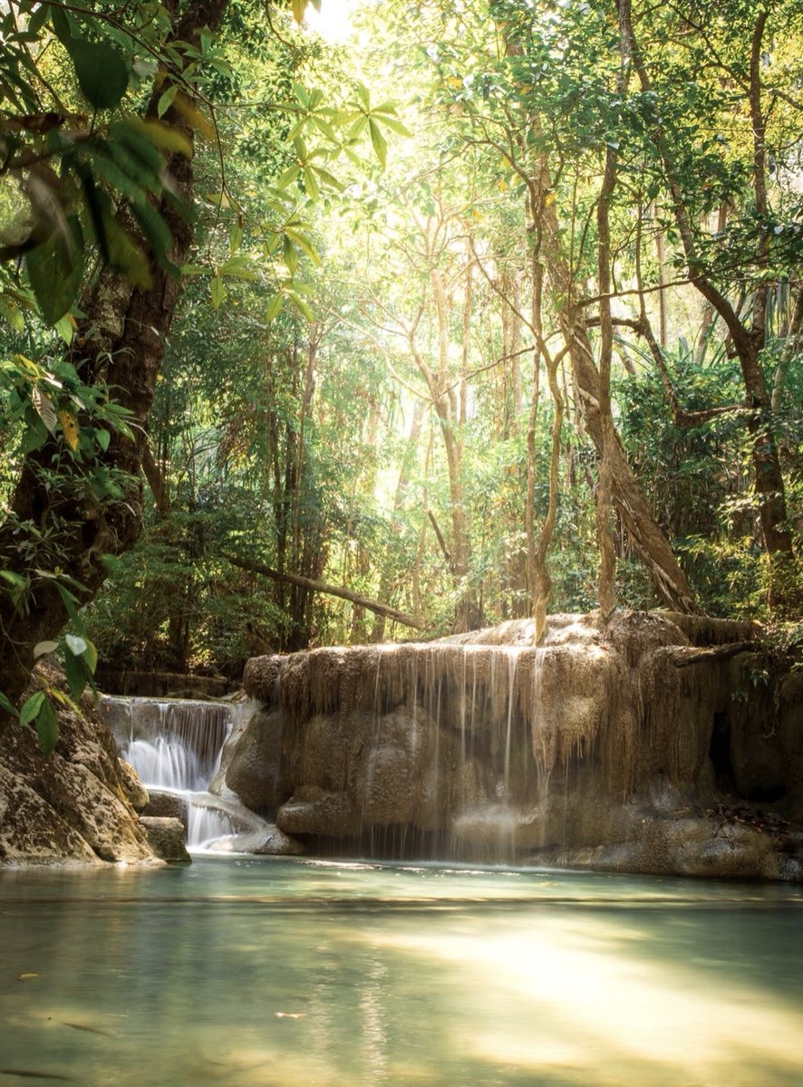 Need a little extra support today? Please join us for a beautiful 11:11 (PST) guided meditation and community chat.  We look forward to seeing you! #mentalhealth
ow.ly/pPBV50J0xw4