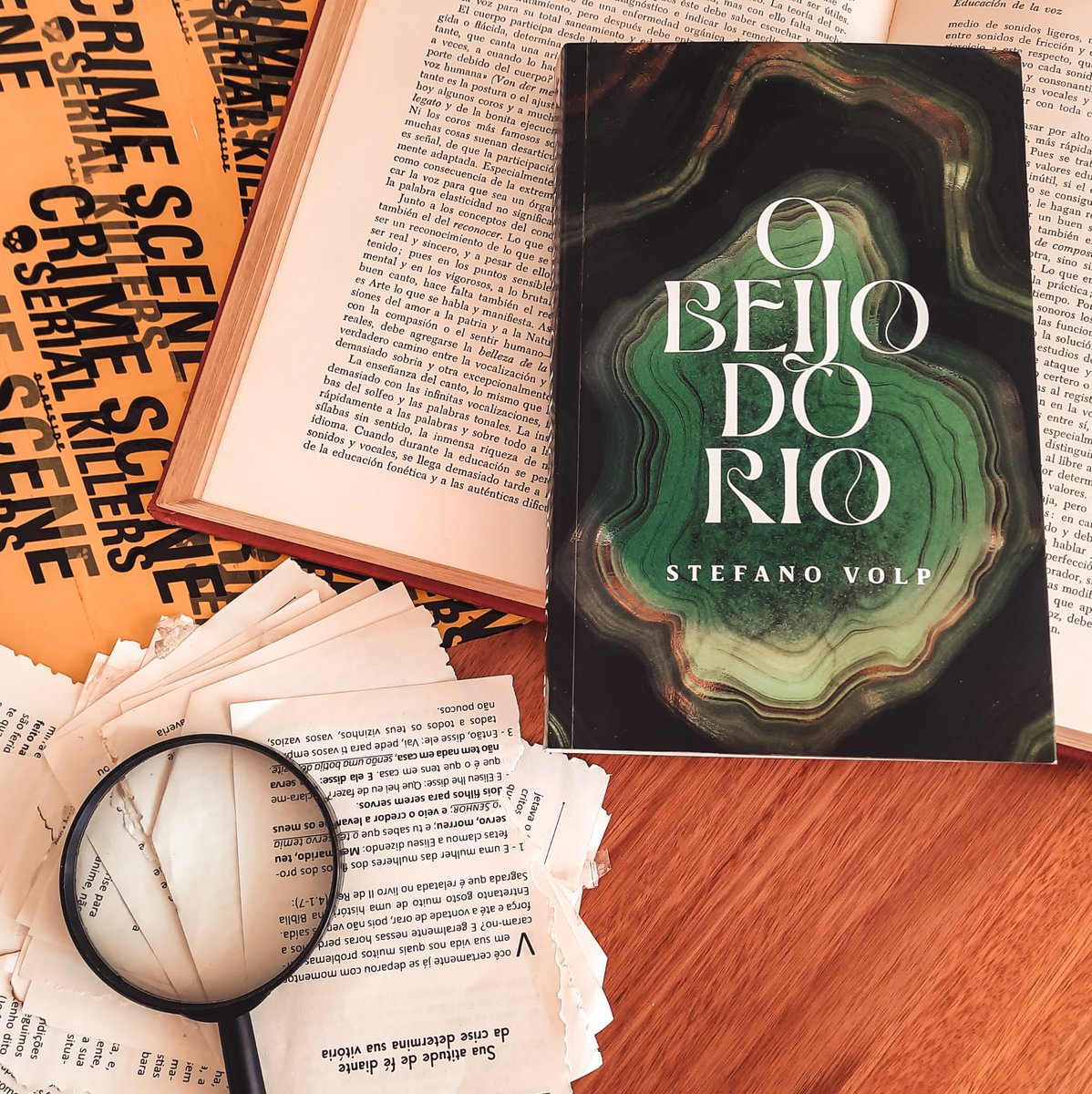 cozymistery's tweet photo. Blog Bruna Lima: O BEIJO DO RIO | STEFANO VOLP #Book #Tagineditos #... https://t.co/W3wHmQY2iN https://t.co/fCtVgAo5S7