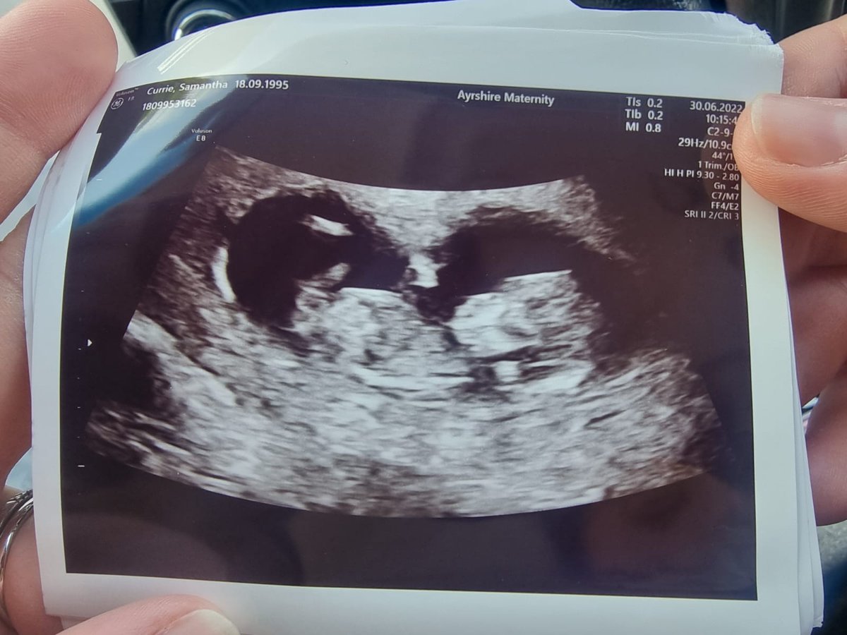 Statement regarding the future of Pucking Mad 💜