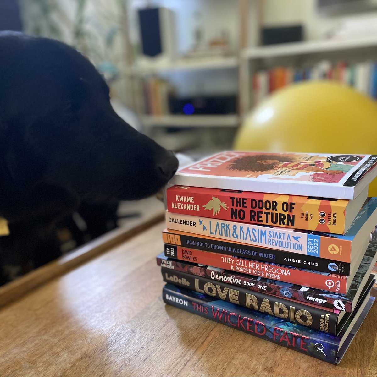msmarythomas's tweet photo. Phoebe approves of Aunt @MissCarrieHill sharing some of her #ALAAC22 haul with me!! 😍 what to start with!? #msthomasreads https://t.co/VkoB1UOFku