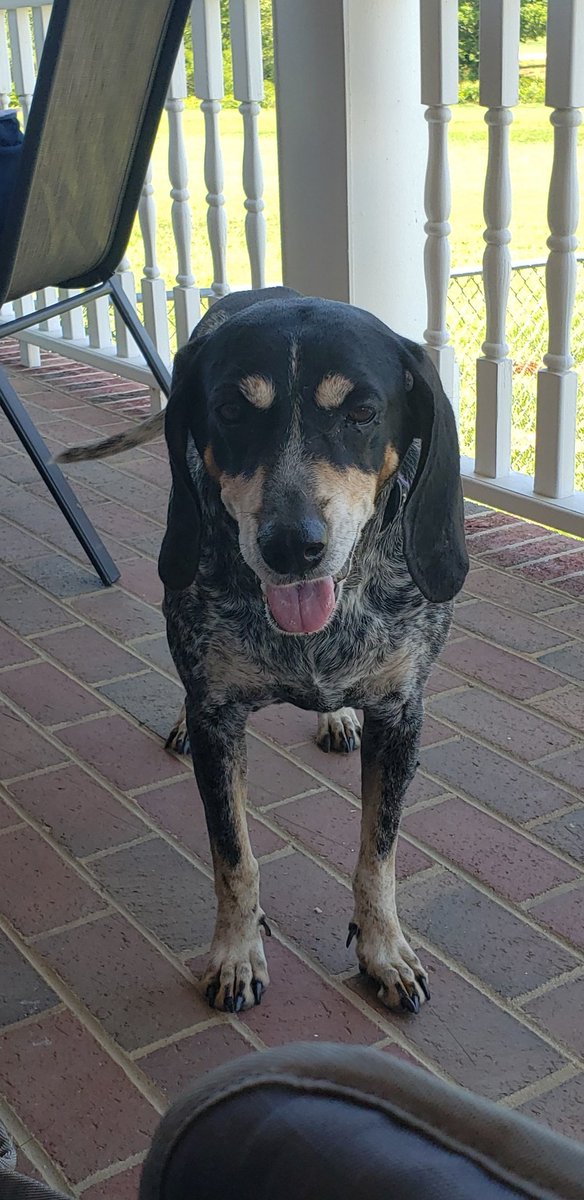 Sal Mercogliano (WGOW Shipping) 🚢⚓🐪🚒🏴‍☠️ tweet media