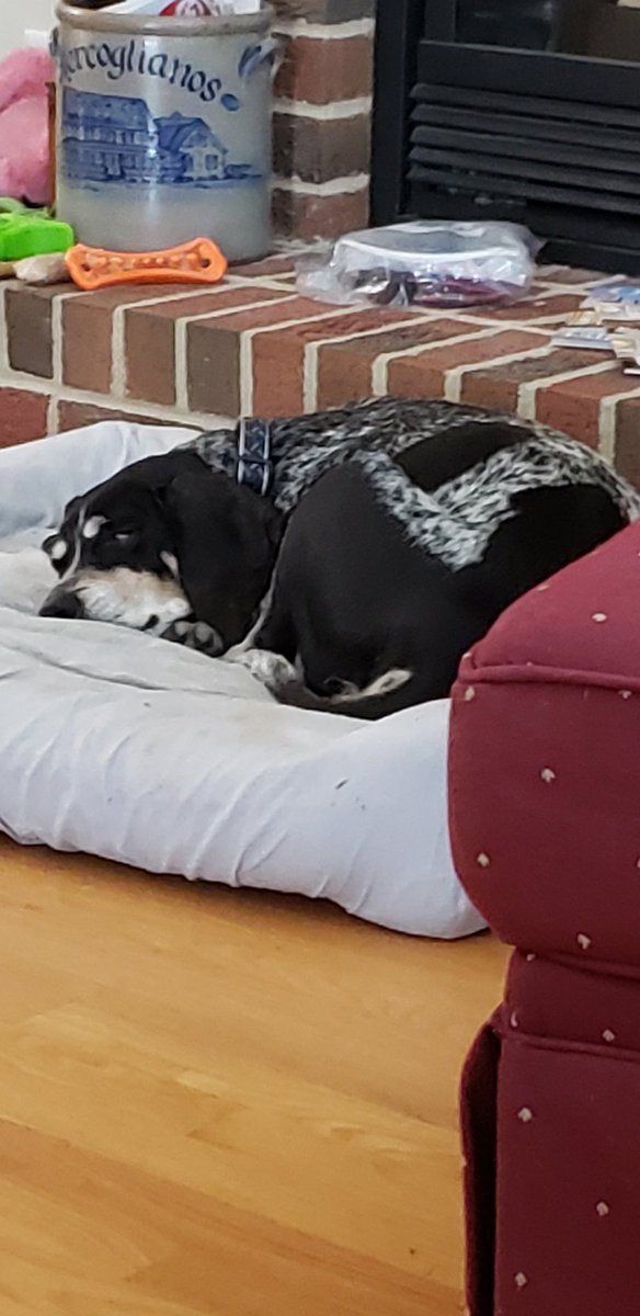 Sal Mercogliano (WGOW Shipping) 🚢⚓🐪🚒🏴‍☠️ tweet media