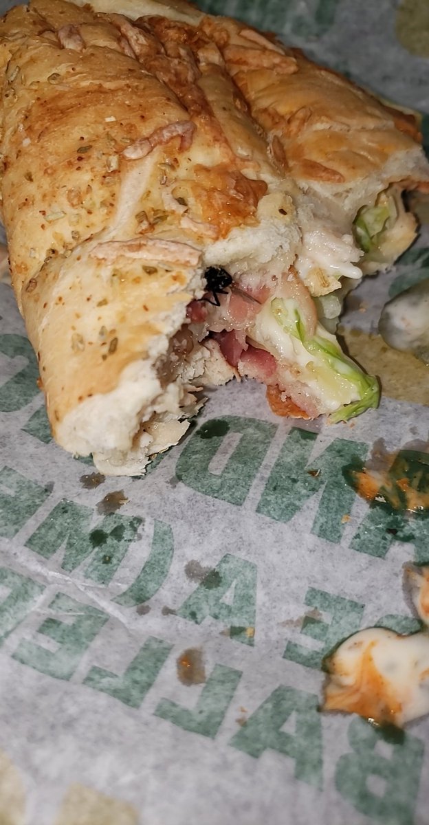JaredGordon5's tweet photo. @SubwayListens 
Nothing like a fly half way through your @SUBWAY sandwich...this is gross🤢🤮🤦‍♂️ https://t.co/zkK9lTmWnH