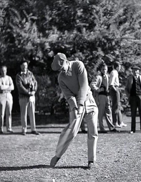 TheGolfDivoTee's tweet photo. The Hawk - https://t.co/SJ5C8VKwH7