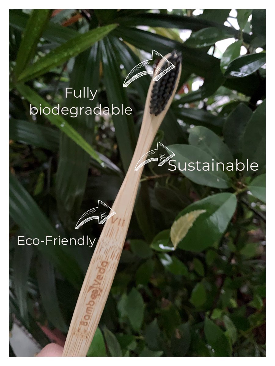 bambooveda1's tweet photo. BAMBOOVEDA toothbrushes are organic, biodegradable &amp; eco-friendly. 

Charcoal-infused bristles help clean your teeth better and whiten them significantly. 

#Toothbrushes #ecoswitch #vegan #environmentallyfriendly #saveearth #environmentalscience #nomoreplastic #ecowarrior https://t.co/O8T6EYP6AQ