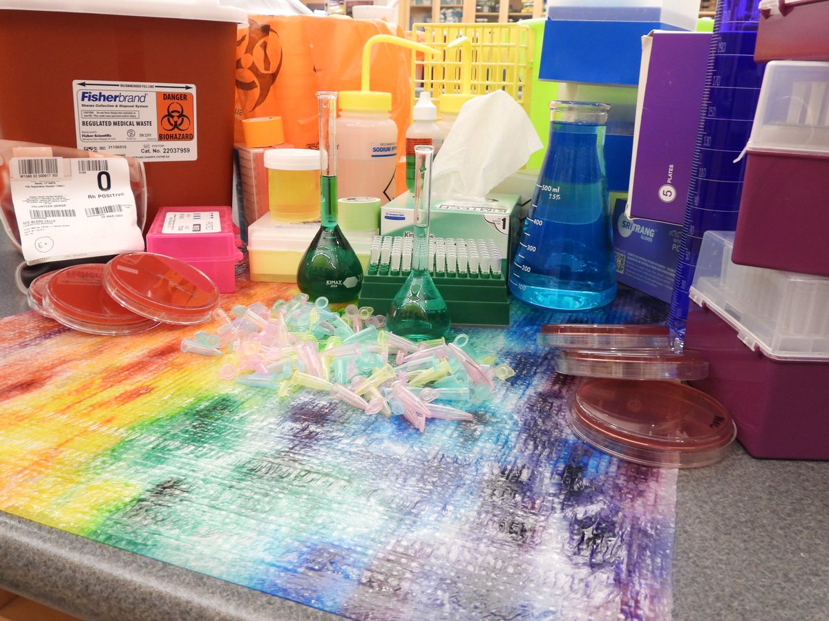 UofUMLS's tweet photo. Wrapping up June with PRIDE 💙💚💛🧡❤️
Try to be a rainbow in someone’s cloud - Maya Angelou
👩🏻🔬🦠🧫💉
#HigherEd #mls #medlabscience #schoolofmedicine #preMLS #lab4life #labucate #pipetting #medicallaboratoryscience #heroesofthelab #pride #pridemonth #pridelab https://t.co/TOa0vKV0rF