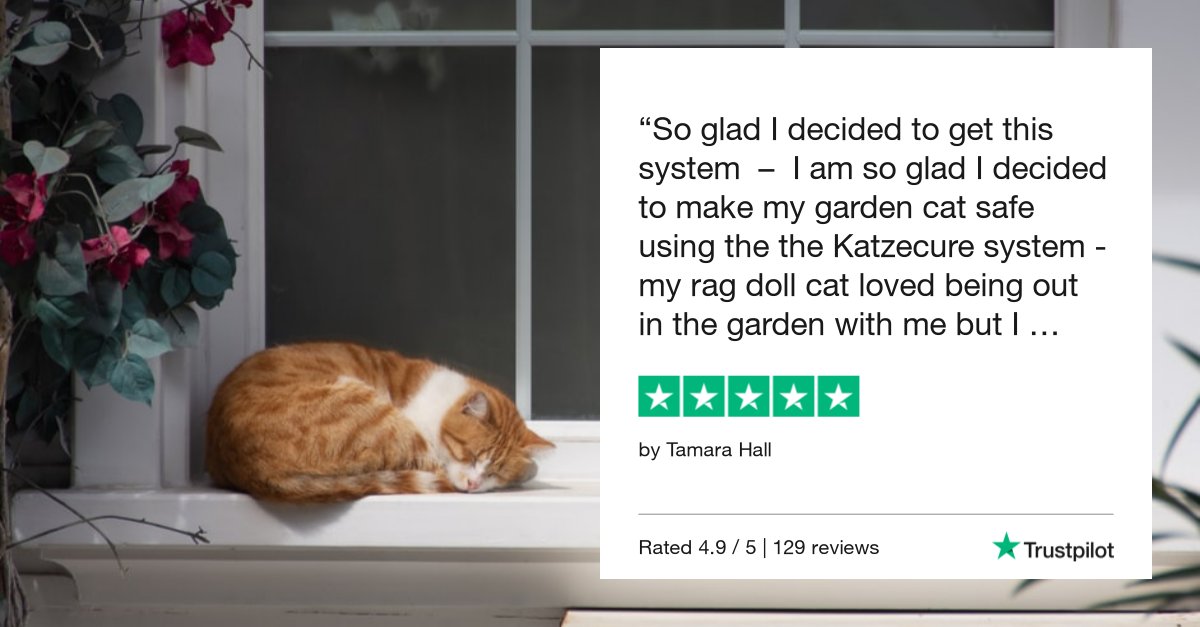 katzecure's tweet photo. ⭐️⭐️⭐️⭐️⭐️
Thank you for the 5 stars Tamara😺 
https://t.co/lGwfjLBpZ7

*******************************
#katzecure #catfence #cat #cats #catgarden #catcontainment #catrollers #ilovecats #securecats #catsofinstagram #Ukcats #catcontent #catstagram #rollercat #safecat https://t.co/z3ntVUKE7x