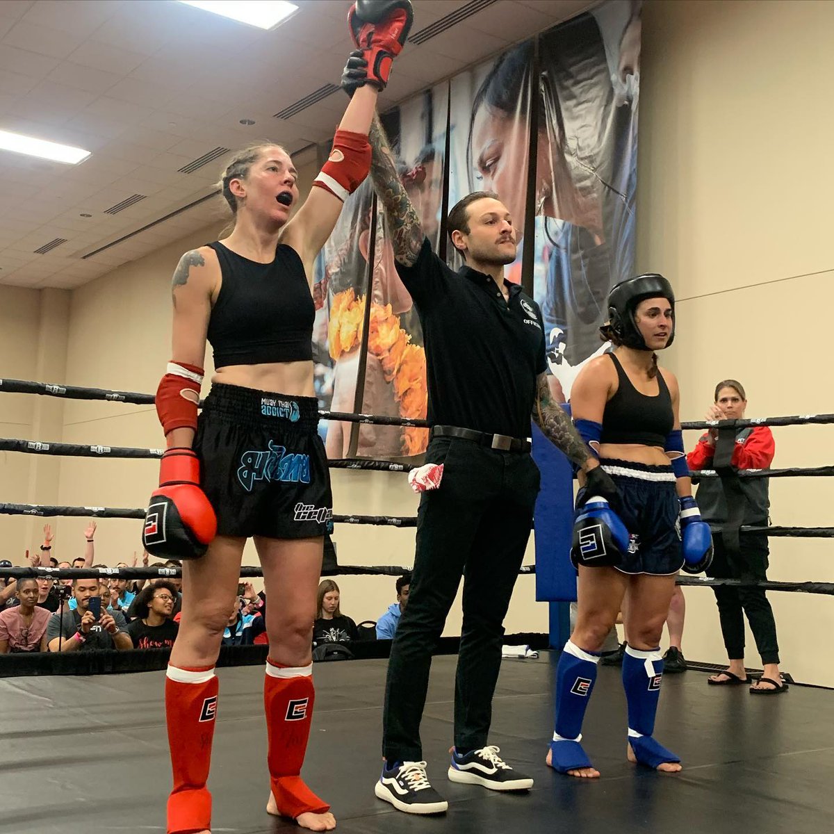 The Cellar Gym tweet media