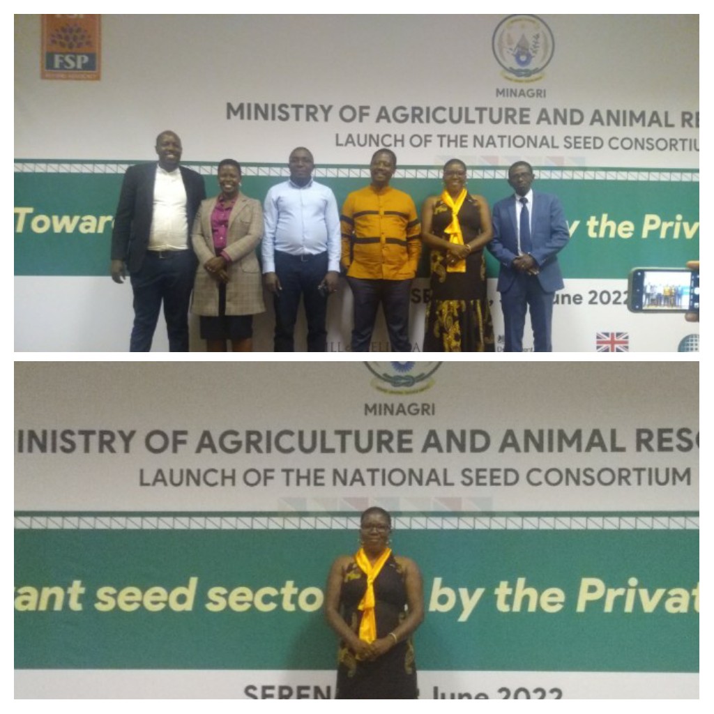 I am humbled to serve the National Seed Consortium as a Secretary. Thank you PSF, MINAGRI, AGRA and USAID. @ChamberOfWomen <a href="/PSF_Rwanda/">PSF Rwanda</a> <a href="/RwandaAgri/">Ministry of Agriculture & Animal Resources |Rwanda</a> <a href="/TheAGRF/">AFS Forum</a>