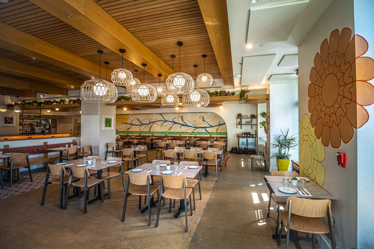 Lighting Environments VA tweet media