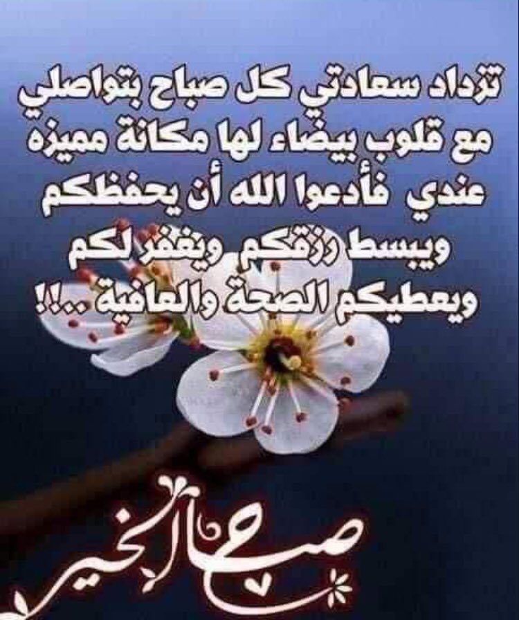 ldhafeeri's tweet photo. صباح الخير ❤️🌹 https://t.co/81WiIagSqc