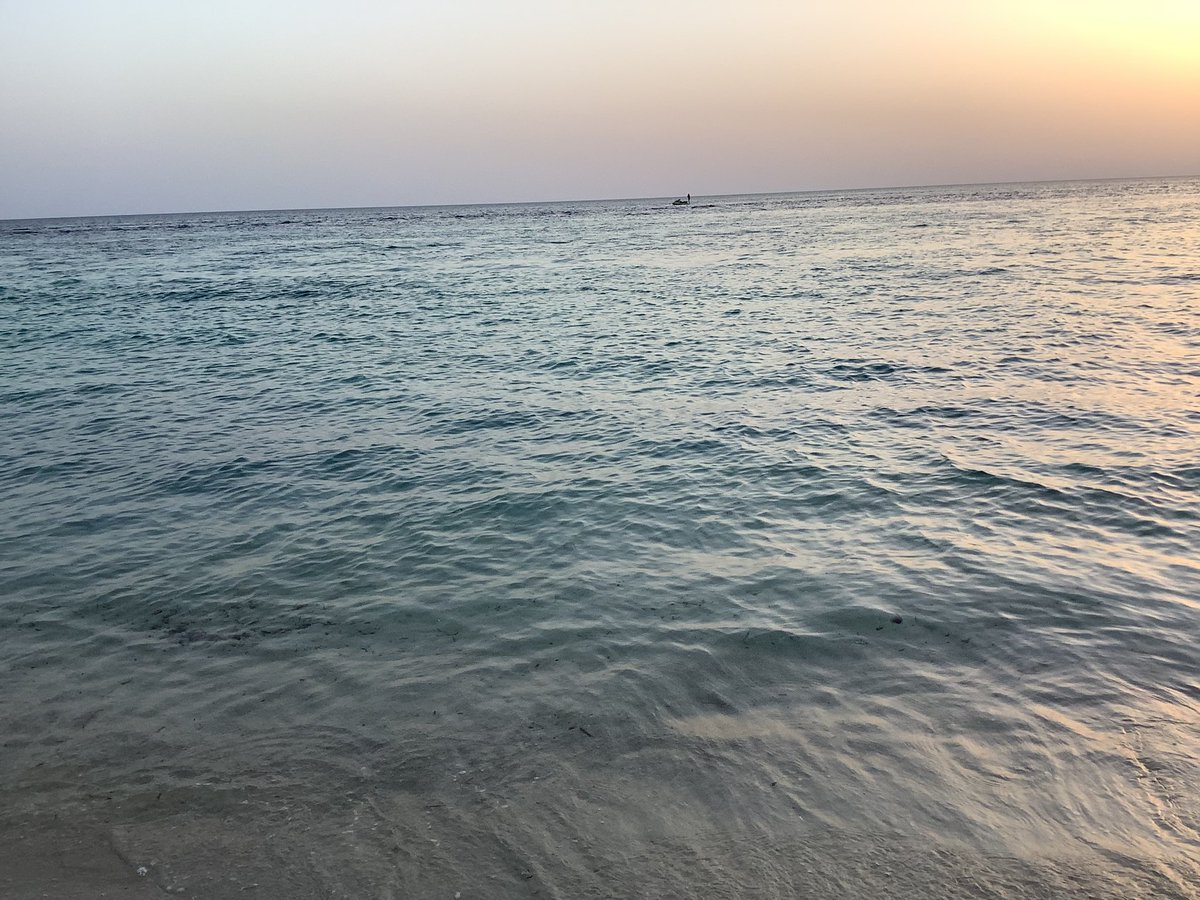 FCyrenaica's tweet image. تمشي للبحر حتى تروق  و تبي هدوء و هارب من الهرجة و الضي تلقى جماعة موتوات البحر لا يخلوك تعوم متريح و على الشط هرجة مواتير ينفخولك راسك حتى اللي جنبك معش تسمعه ،،، ليش ما يبتعدوا عن الشط و الناس ليش وسطهم تخاف تغطس تطلع يقطعلك راسك ،، حركات زغد و شلتت و قلة ذوق و احترام و سخافة