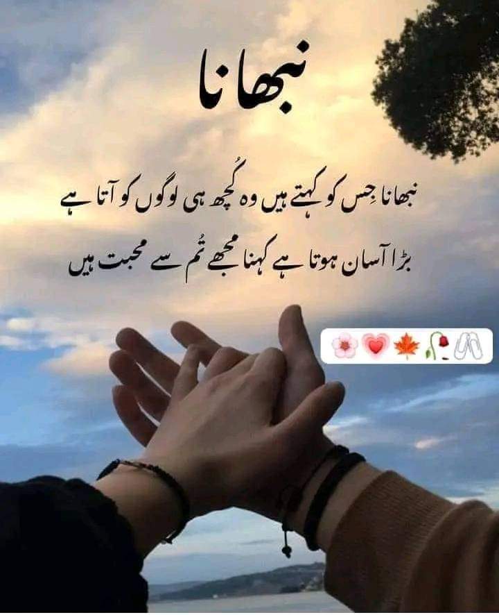 main_imdad's tweet image. 