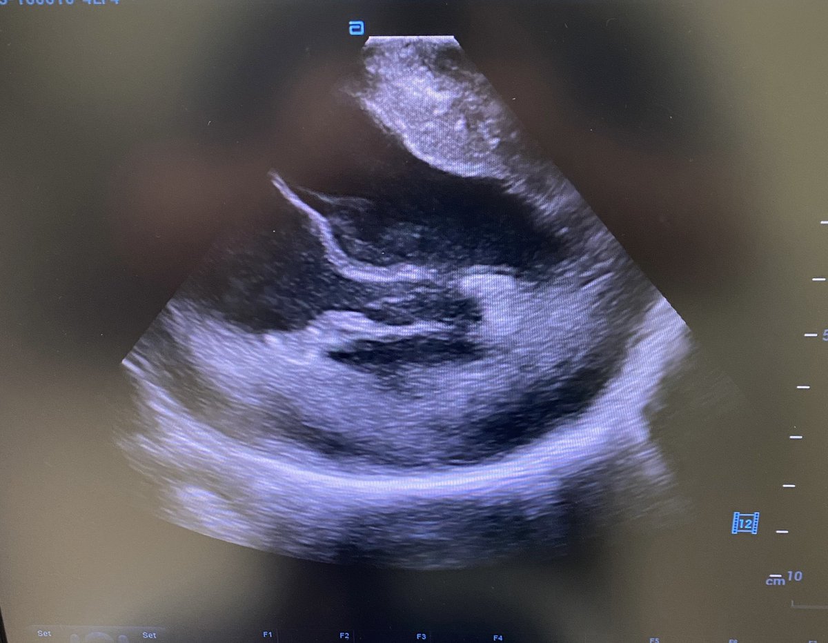 Lydia Gordon tweet media