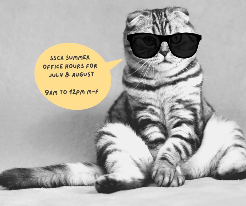 Starting July 4 2022, SSCA will be switching to our summer hours