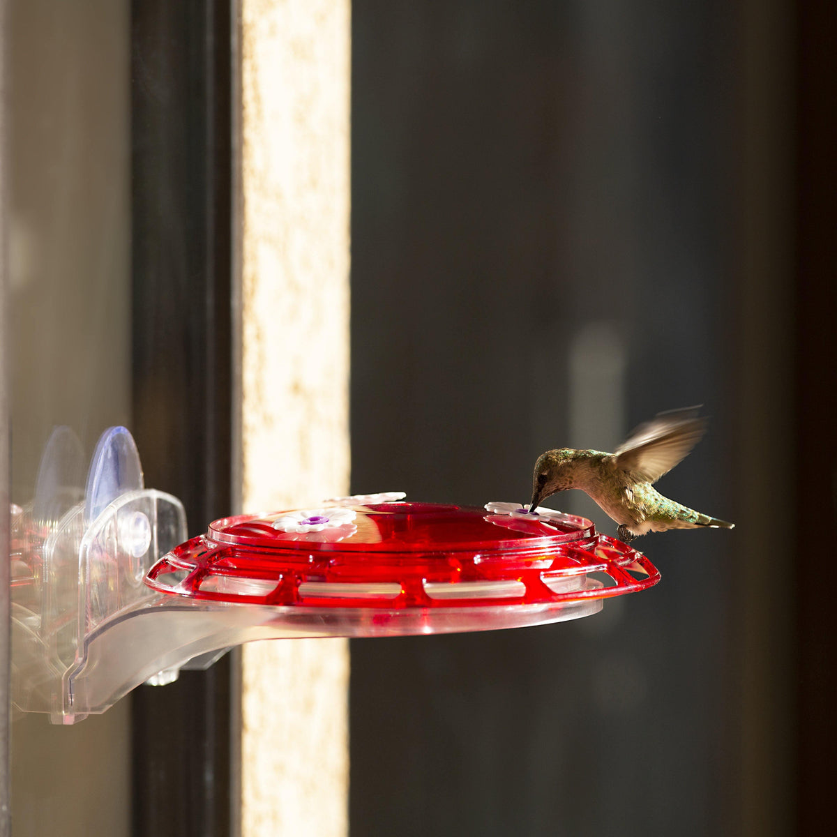 The More Birds® Bird Health+™ 3-in-1 Hummingbird Feeder is a window feeder, staked feeder and hanging feeder – all in one!  zcu.io/WbgO