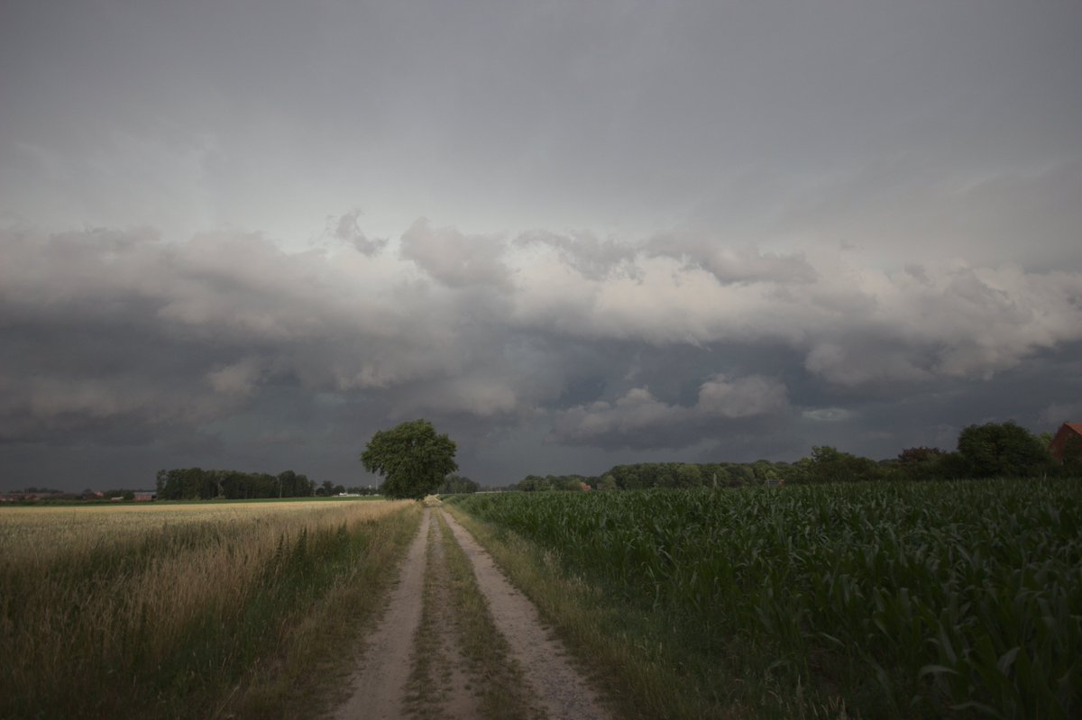Faron (@faron_chris) on Twitter photo Aufzug der Linie am Abend im südlichen Münsterland. Gab mit dem Outflow einen kleinen Sandsturm auf den trockenen Feldern. <a href="/Kachelmannwettr/">Kachelmannwetter</a> Aufzug der Linie am Abend im südlichen Münsterland. Gab mit dem Outflow einen kleinen Sandsturm auf den trockenen Feldern. <a href="/Kachelmannwettr/">Kachelmannwetter</a>
