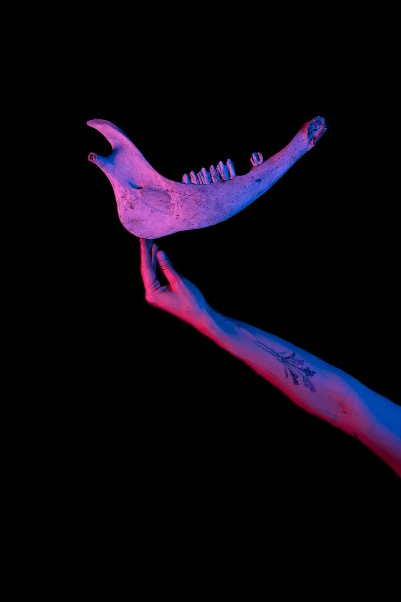 Reconstruction of Fueguian nature. This project aims to describe, through studio portraits, different elements. Components that are fundamental to the daily life in Tierra del Fuego, an island of sub-Antarctic conditions.

<a href="/Lujan_Agusti/">Lujan Agusti</a> and <a href="/nico_deluca/">Nico Deluca</a> for The World Today✨