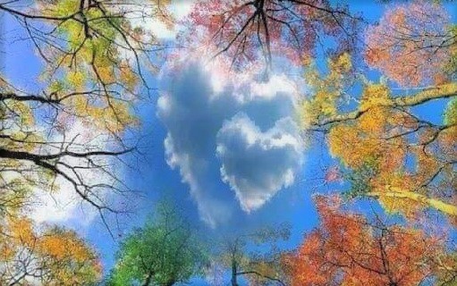 JohnCordBooks2's tweet photo. "I #love God" &amp; Jesus Is Lord #Fascism since #RomanEmpire went #Christian. The EPA Climate Crisis Clean Air Act VS. #LAW #1.
Liz Cheney Fake #Opposition 

#BIDEN #TRUMP POPE #INQUISITIONS #HOLOCAUST #NWO #DEPOP VS. WHAT #LAW1OFGOD &amp; #JEWS MEANS #SOLUTION https://t.co/GWwvJCfHx8 https://t.co/MxpxfawEjb