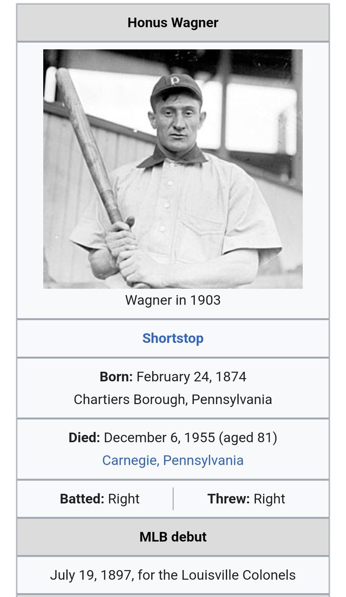 Shelby McNamee tweet media