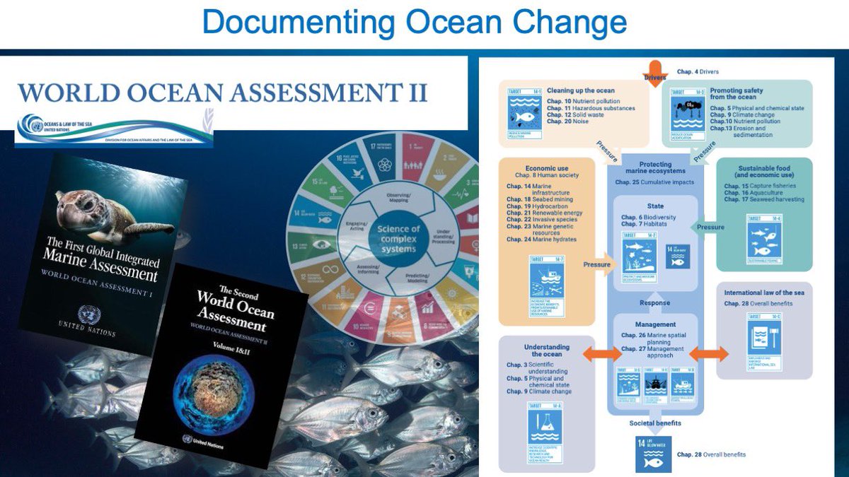mvisbeck's tweet photo. @ocean_climate @azivian @OurOcean @CNRS @gouvernementFR @oneplanetsummit @UNOceanDecade @IocUnesco @SustDev @FPA2 @MercatorOcean @OceanoAzulF @Ifremer_fr @ird_fr #IPOS has the opportunity to take advantage of the three existing assessments #IPCCC #IPBES #WOA and focus on the knowledge to inform the ocean dimension of sustainable development and become a major outcome of the @UNOceanDecade https://t.co/3ZDO56Y2HH