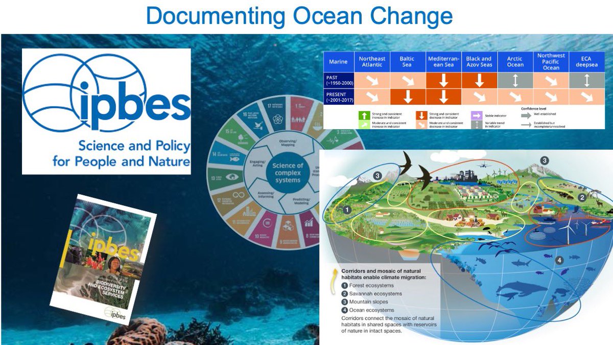 mvisbeck's tweet photo. @ocean_climate @azivian @OurOcean @CNRS @gouvernementFR @oneplanetsummit @UNOceanDecade @IocUnesco @SustDev @FPA2 @MercatorOcean @OceanoAzulF @Ifremer_fr @ird_fr #IPOS has the opportunity to take advantage of the three existing assessments #IPCCC #IPBES #WOA and focus on the knowledge to inform the ocean dimension of sustainable development and become a major outcome of the @UNOceanDecade https://t.co/3ZDO56Y2HH