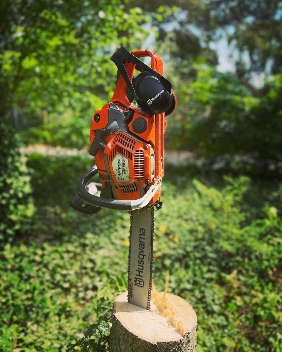 HusqvarnaUSA's tweet image. What's better than fun in the sun? Fun in the sun with your favorite Husqvarna equipment! See how our community is taking advantage of great summer days. Want to be featured on our page? Tag HusqvarnaCA/USA in your photos.

@smoky_mtn_homestead
@crispybisquit
@lcgardenservices