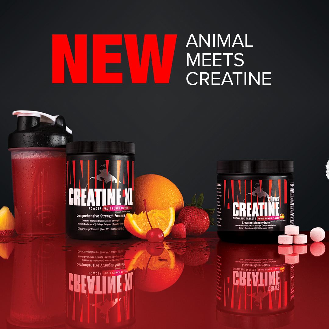 Animal (@Animalpak) / Twitter Animal (@Animalpak) / Twitter