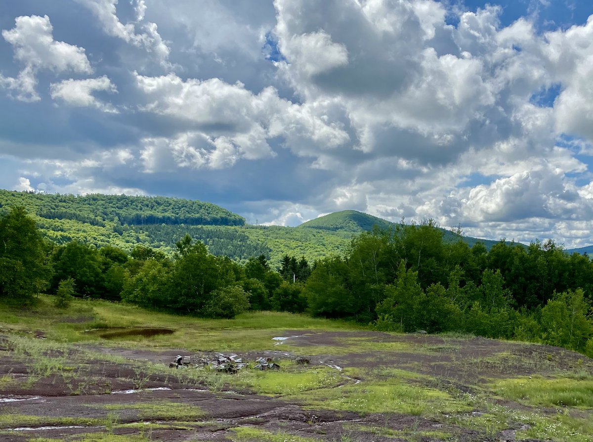 TannerPaleo's tweet photo. Just wrapped up fieldwork in the Catskills with Susan Tremblay (@verdoornia) and @nysmuseums scientists Linda VanAller Hernick and Chuck Ver Straeten. I had a great time with them, and it was refreshing working outdoors instead of on a screen for a few days! https://t.co/mfiqvdVS5Z