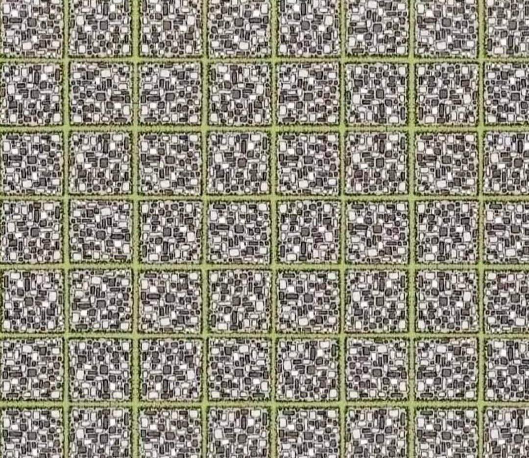 Find the curved lines