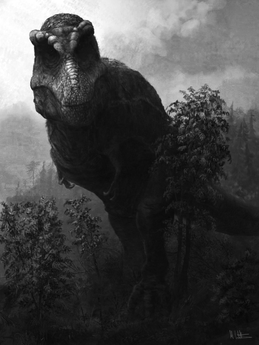 MarkWitton's tweet photo. New #paleoart just posted to #Patreon: an especially big and moody Tyrannosaurus to explore the concept of super-giant, record-breaking individuals of fossil species. They must have existed, right? More insight and HD versions of this image at https://t.co/hrxg3bO8FI. https://t.co/cggS0VbFX9