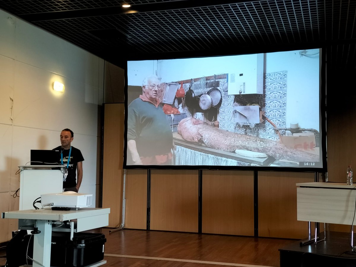 FishInvasionLab's tweet image. Presenting our work and future directions/projects on European catfish @icbf2022 #silurus #invasivefish #portugal