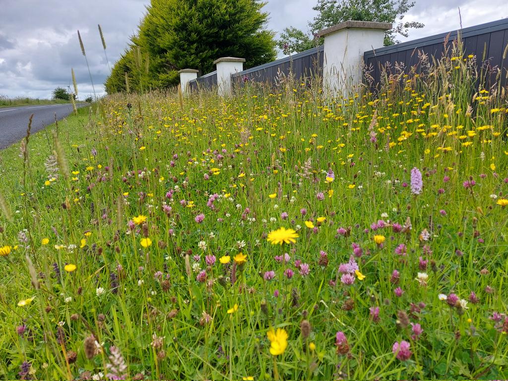 Donna Rainey tweet media