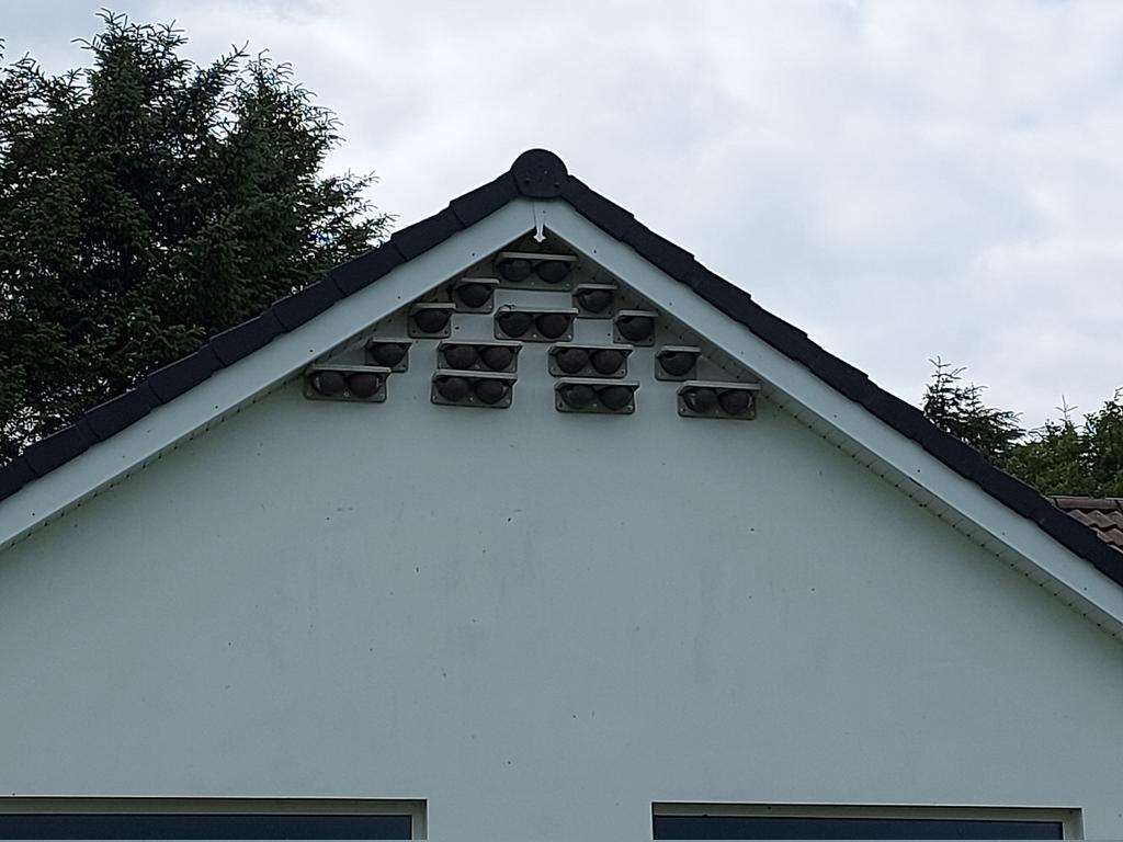 Donna Rainey tweet media