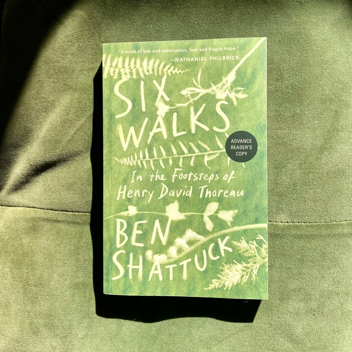 Tin_House's tweet image. A review as lovely and meditative as the book itself — @DavidRompf @Harvard_Review captures the heart and essence of 🌳🐚⛰️Six Walks: In the Footsteps of Henry David Thoreau by @ben__shattuck.

buff.ly/3nrxMzt