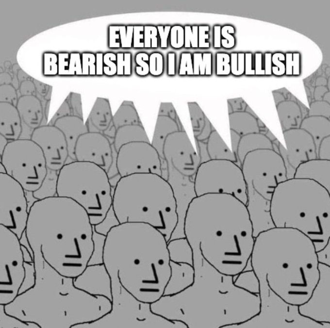 DoopieCash® tweet media