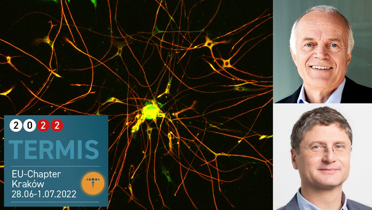 LBI Trauma tweet media