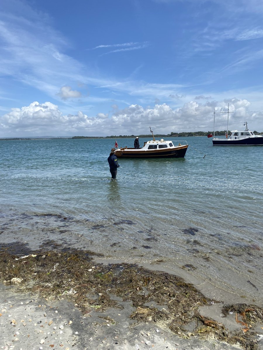 SpedeSailing tweet media