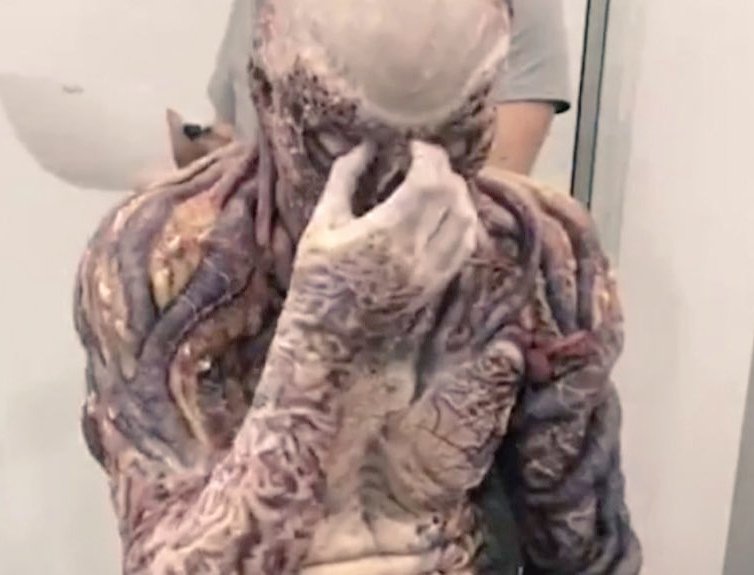 El Vecna viendo que la cancion que elegiste para salvarte es la de "mi bebito fiu fiu"😒 #StrangerThings4