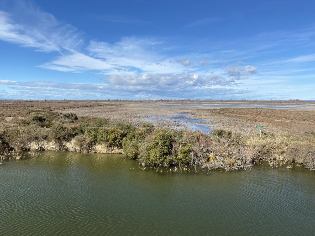 AClaudiusPetit's tweet photo. Très honorée et très fière d’avoir été élue présidente du Parc Naturel Régional de #Camargue, le + ancien de nos parcs régionaux, trésor de nature et d’histoire.

#patrimoine #Biodiversité https://t.co/XFUrPv7iZ1
