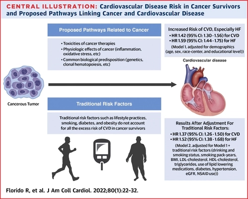 In @JACCJournals this week! Our #ARIC study shows 42% higher risk of #CVD and 59% higher risk of #HF in #cancersurvivors! Risk not fully explained by shared risk factors. Cancer survivors need to be prioritized for CVD #prevention. #CardioOnc jacc.org/doi/abs/10.101…