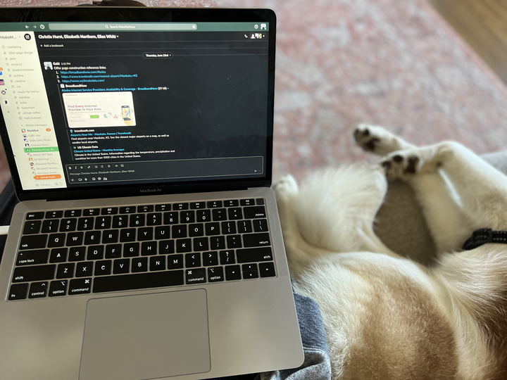 makemymoveusa's tweet photo. From 🐶 to ☕, we're loving these National #WorkFromHomeDay shots! 

Make sure to submit yours using #MakeMyMove! https://t.co/aEMWWUYMJ7