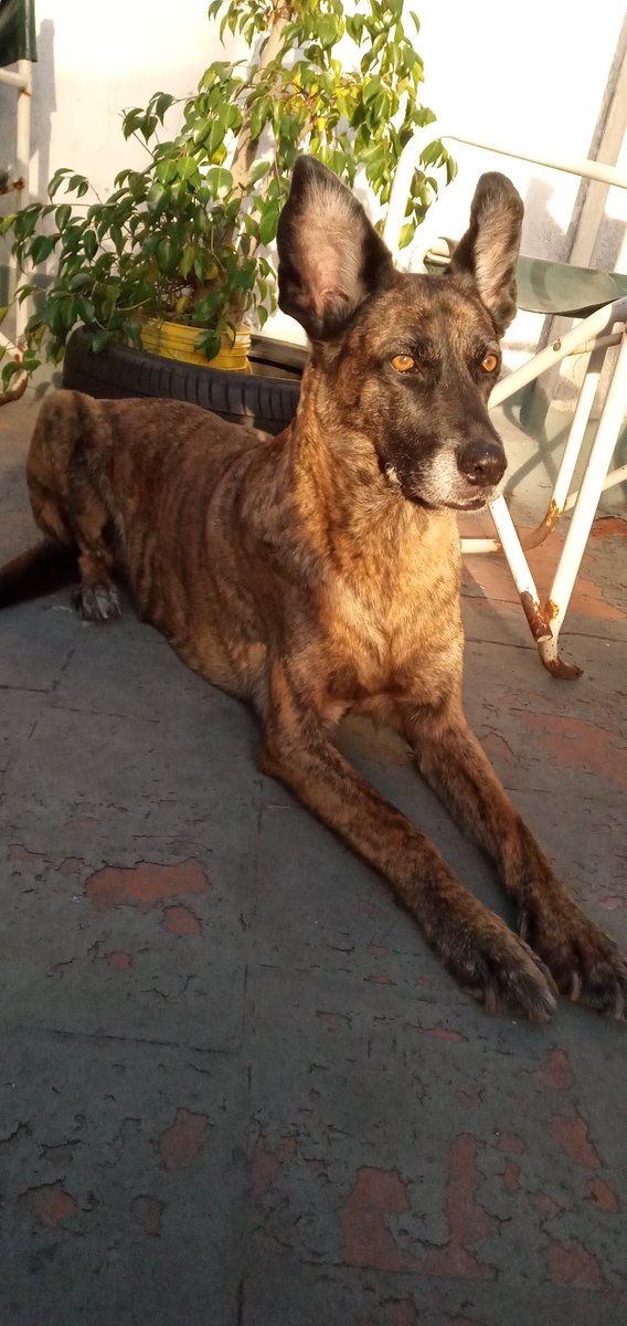 asap_lua's tweet image. tweet apreciación rayita (en la ultima se habia mandado una cagada)