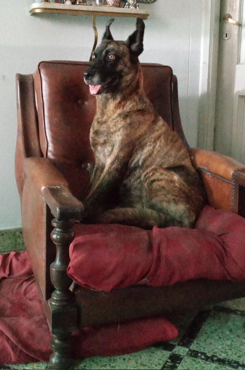 asap_lua's tweet image. tweet apreciación rayita (en la ultima se habia mandado una cagada)