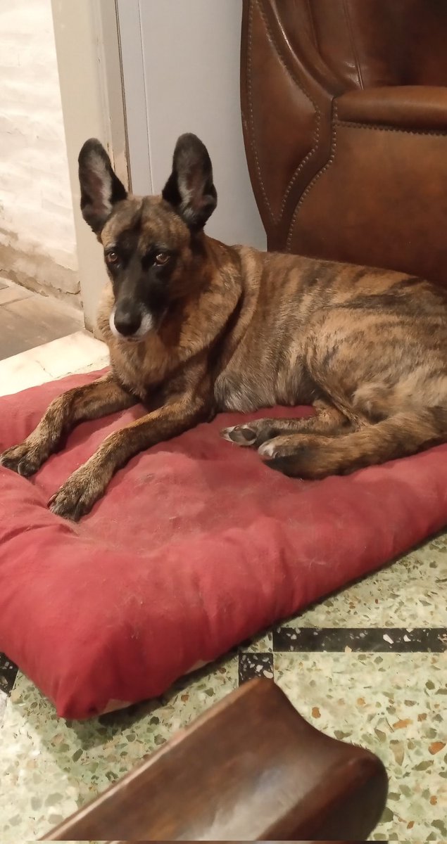 asap_lua's tweet image. tweet apreciación rayita (en la ultima se habia mandado una cagada)